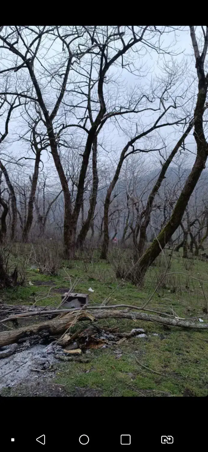 همسفر برای تفریح و مسافرت|فعالیت داوطلبانه|محمدیه-قزوین, |دیوار