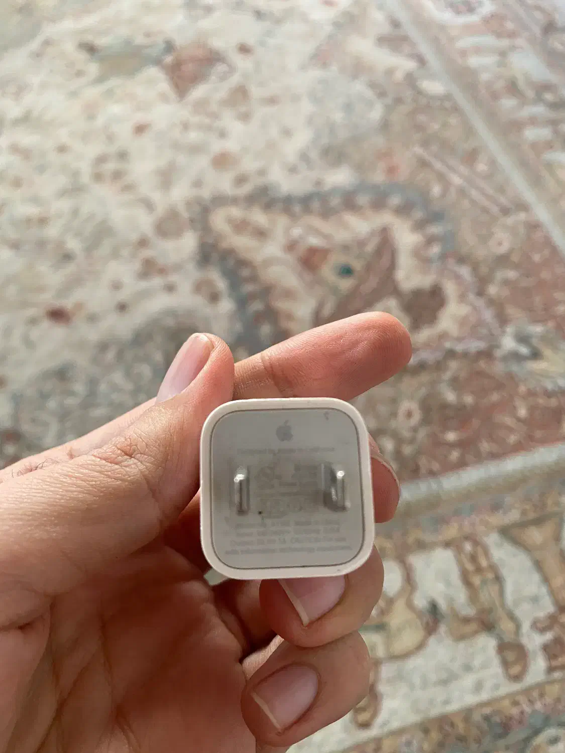 کله شارژی و کابل آیفون اصلی داخل کارتن|لوازم جانبی موبایل و تبلت|بوکان, |دیوار