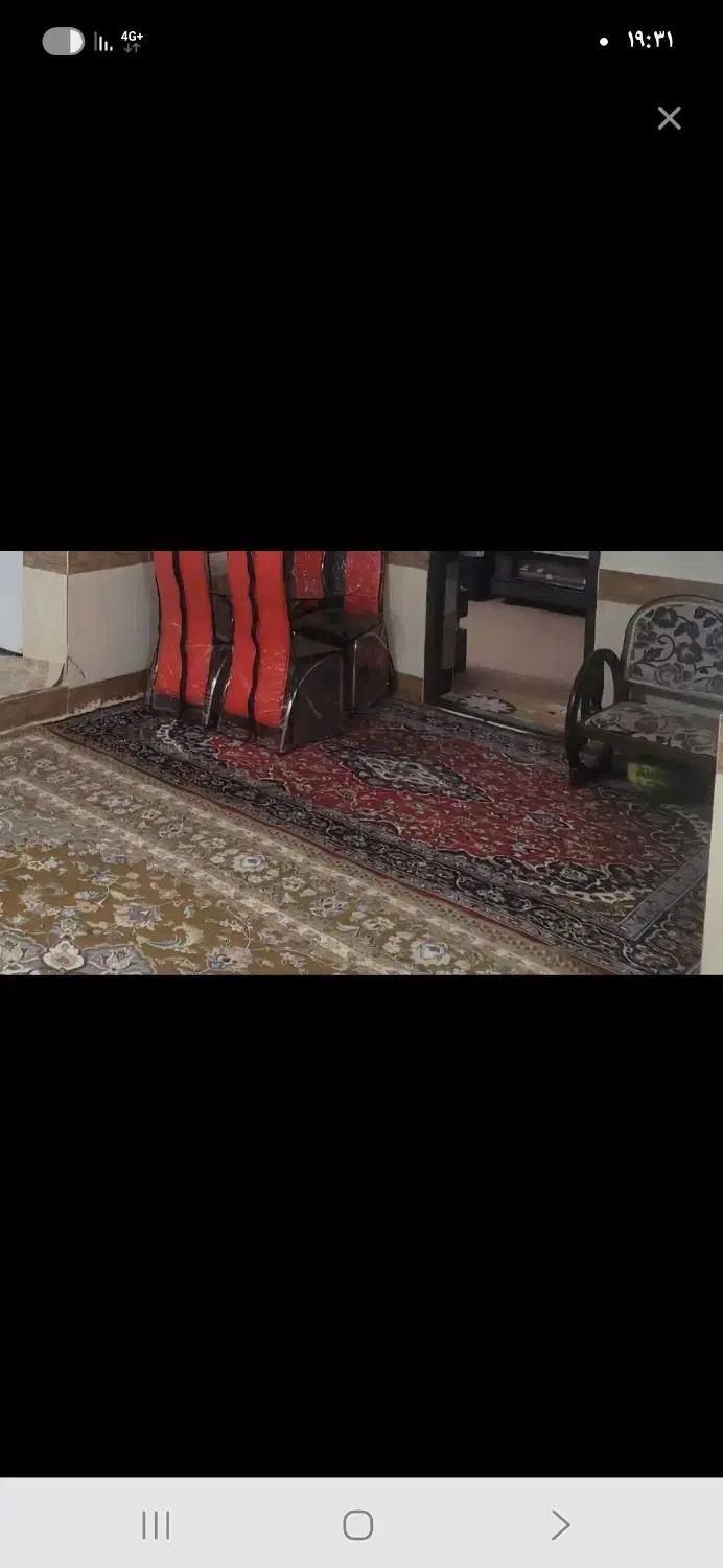 ۲ تخته قالی ۶ متری|فرش|تربت جام, شهرک آزادگان|دیوار