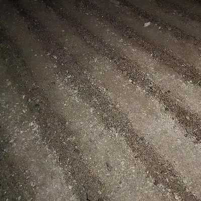 کود حیوانی برای گیاهان دارویی|عمده‌فروشی|کوهدشت, |دیوار