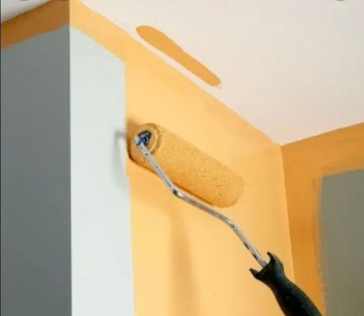 نقاشی ساختمان نقاش ساختمانی درتمام نقاط شهر|خدمات پیشه و مهارت|مشهد, رسالت|دیوار