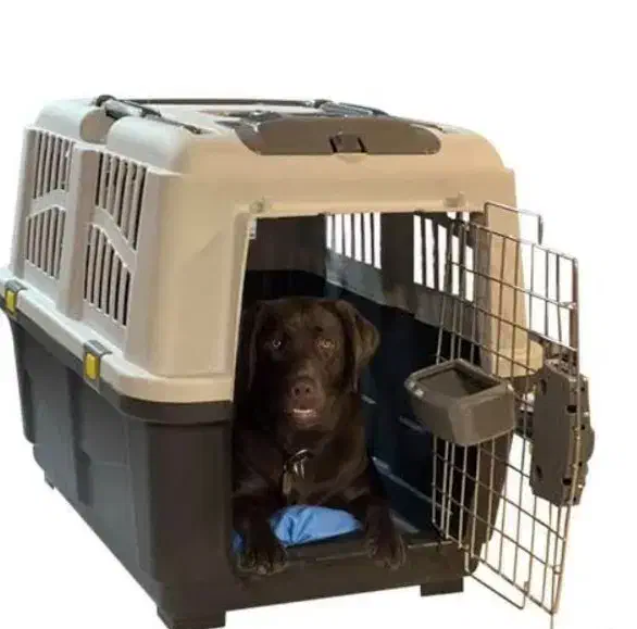 باکس سگ بزرگ|لوازم جانبی حیوانات|اهواز, کمپلو شمالی|دیوار