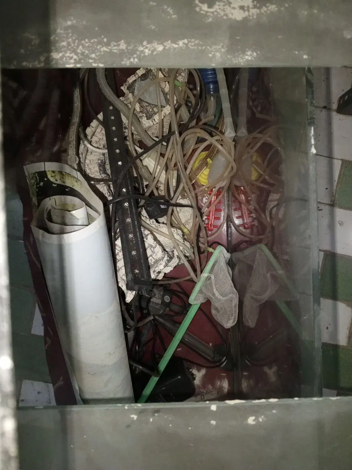 آکواریوم|ماهی|سوسنگرد, |دیوار