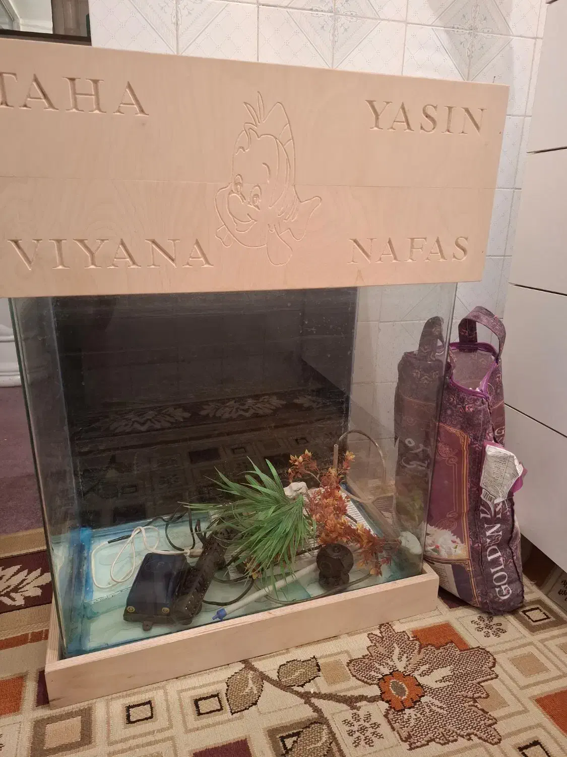 آکواریوم شیشه خم سالم|ماهی|فردیس, فردیس|دیوار