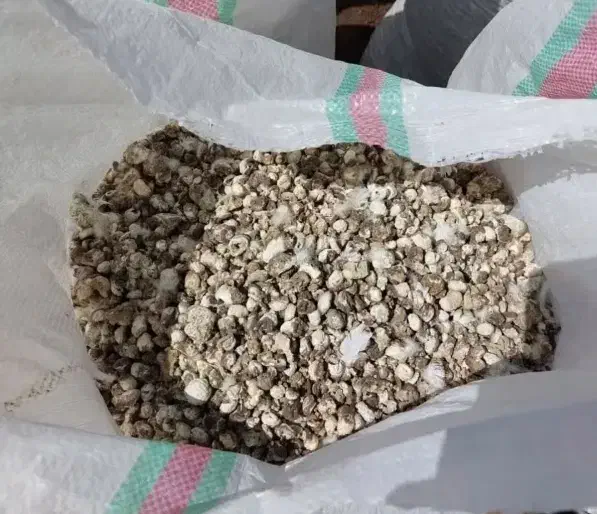 کود کبوتر فروشی|گل و گیاه طبیعی|کاخک, |دیوار