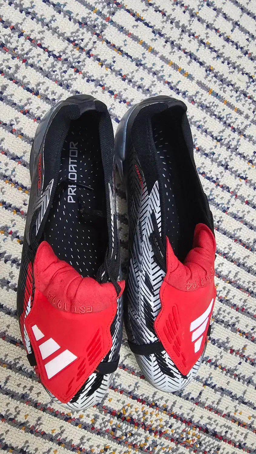 کفش فوتبال آدیداس پردیتور|کیف، کفش، کمربند|بابلسر, |دیوار