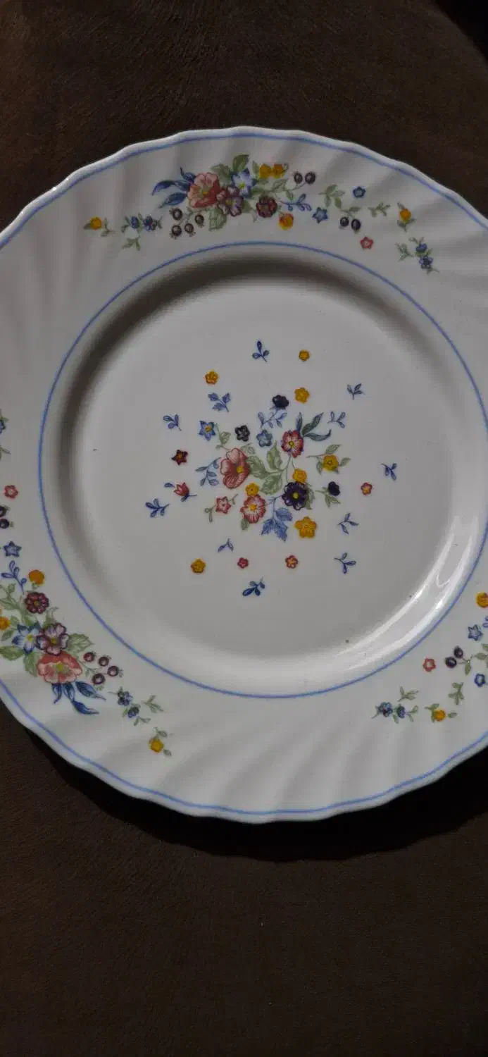 بشقاب ویکتوریا|ظروف سرو و پذیرایی|گرگان, |دیوار