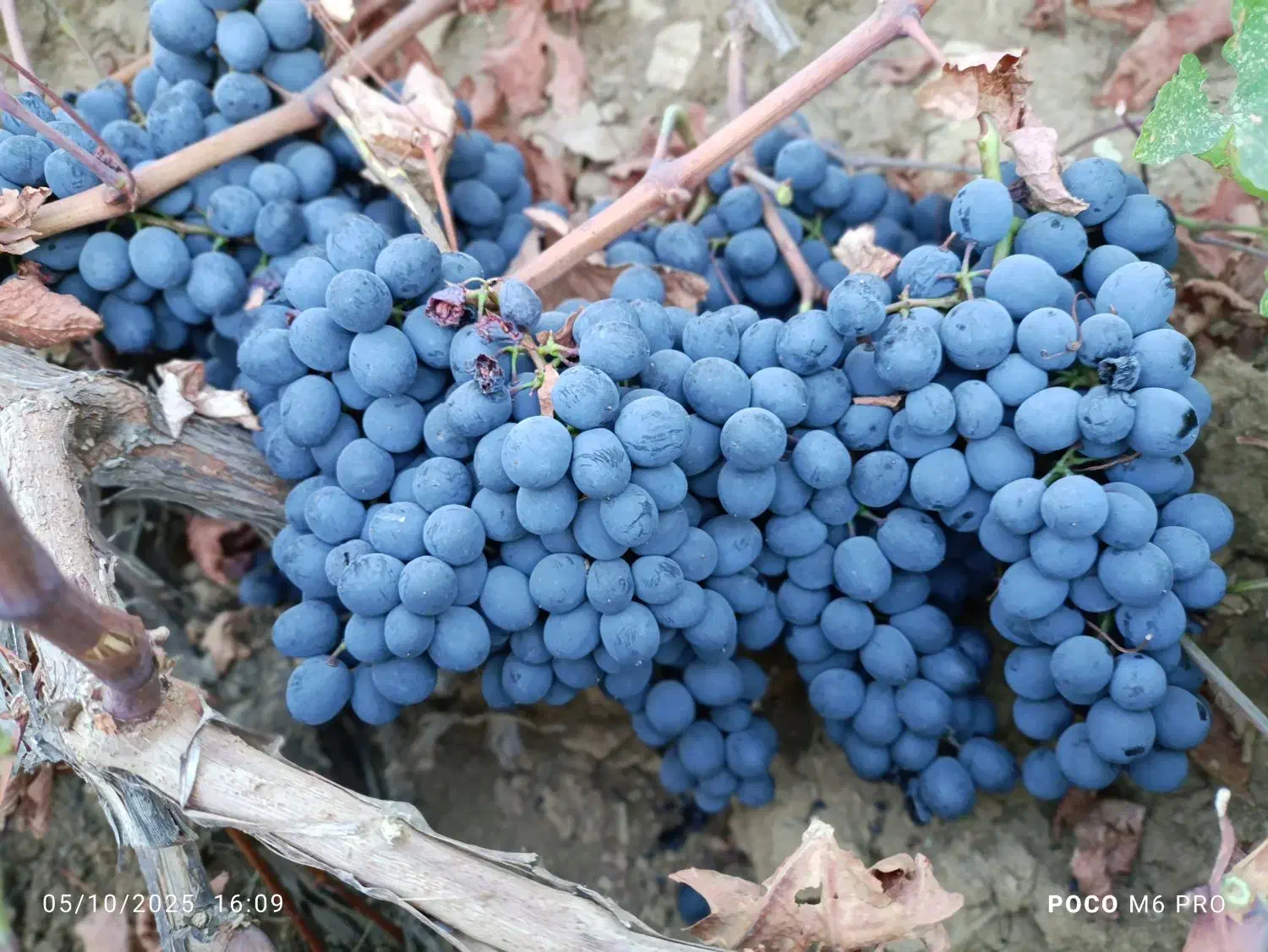 فروشی|حراج|رشت, آب و برق|دیوار