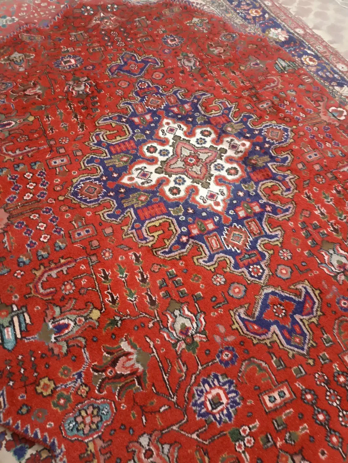 قبا بناب دستباف طرح جدید وینچ گوشتدار1.63در2.55|فرش|تهران, حر|دیوار