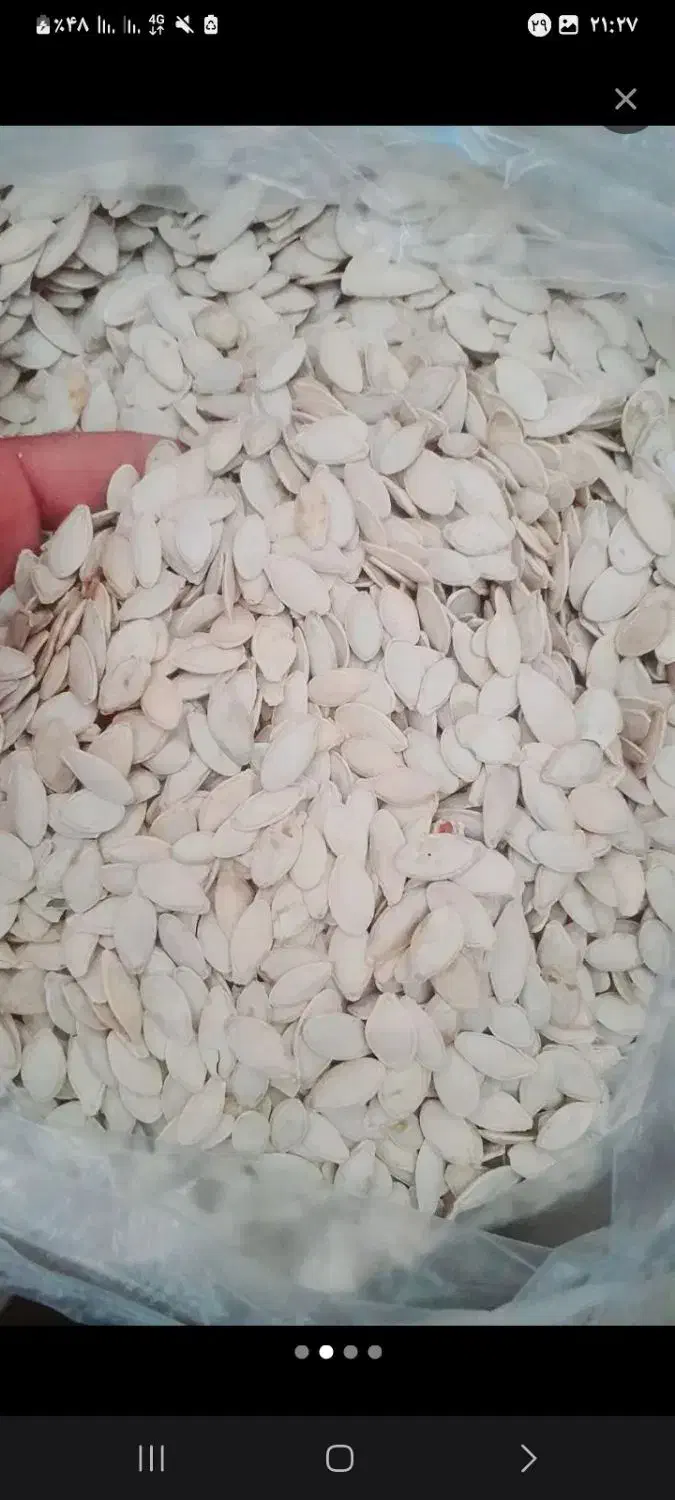 تخمه آجیلی|خوردنی و آشامیدنی|شاهین دژ, |دیوار