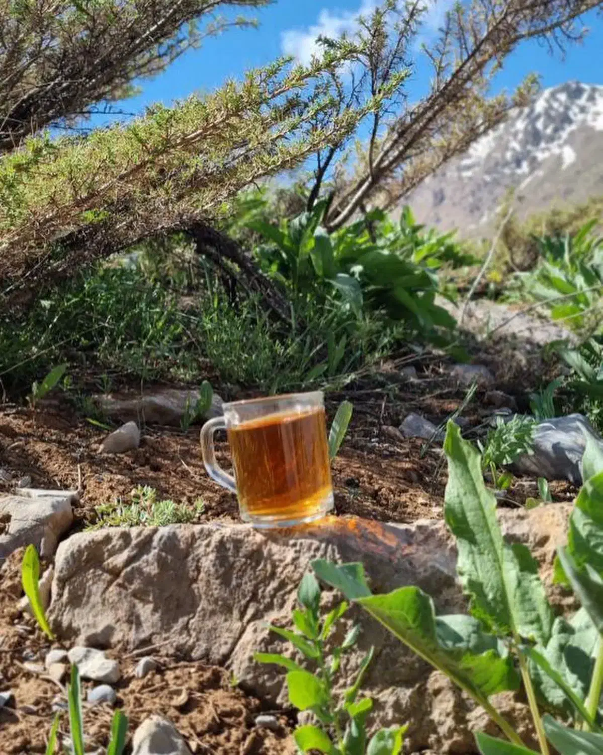 تشکیل گروه طبیعت گردی ودورهمی ورزشی|فعالیت داوطلبانه|کرمان, |دیوار