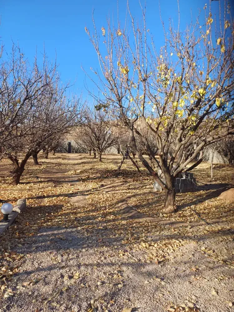 فروش ۴۰ پلاک باغ ویلا|فروش زمین و ملک کلنگی|ارژن, |دیوار