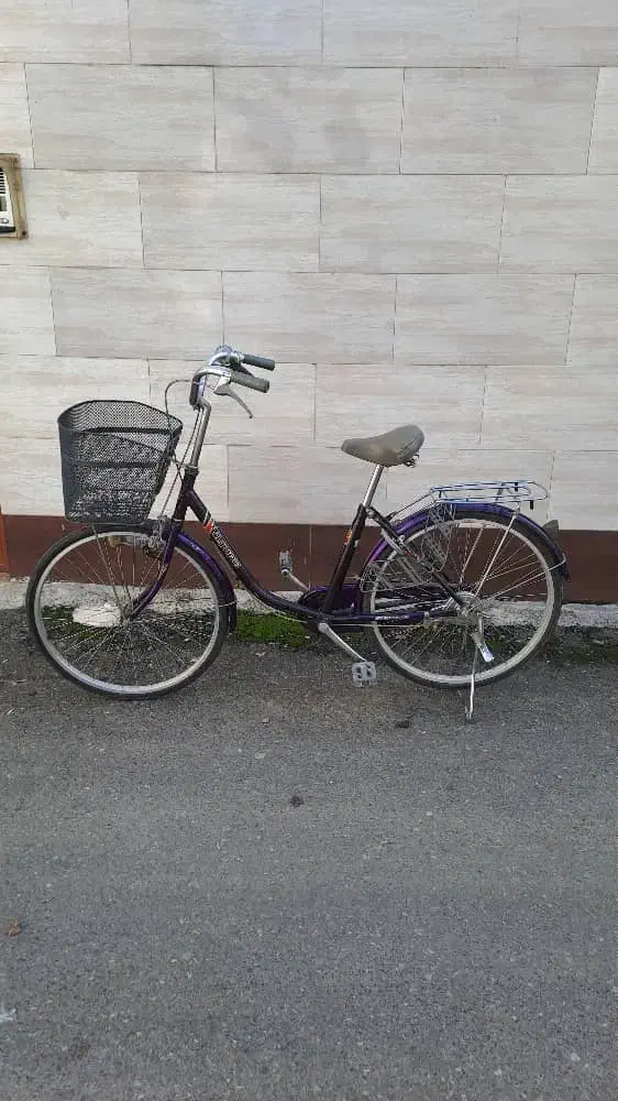 دوچرخه کلاسیک ( آنتیک )|دوچرخه، اسکیت، اسکوتر|رشت, منظریه|دیوار