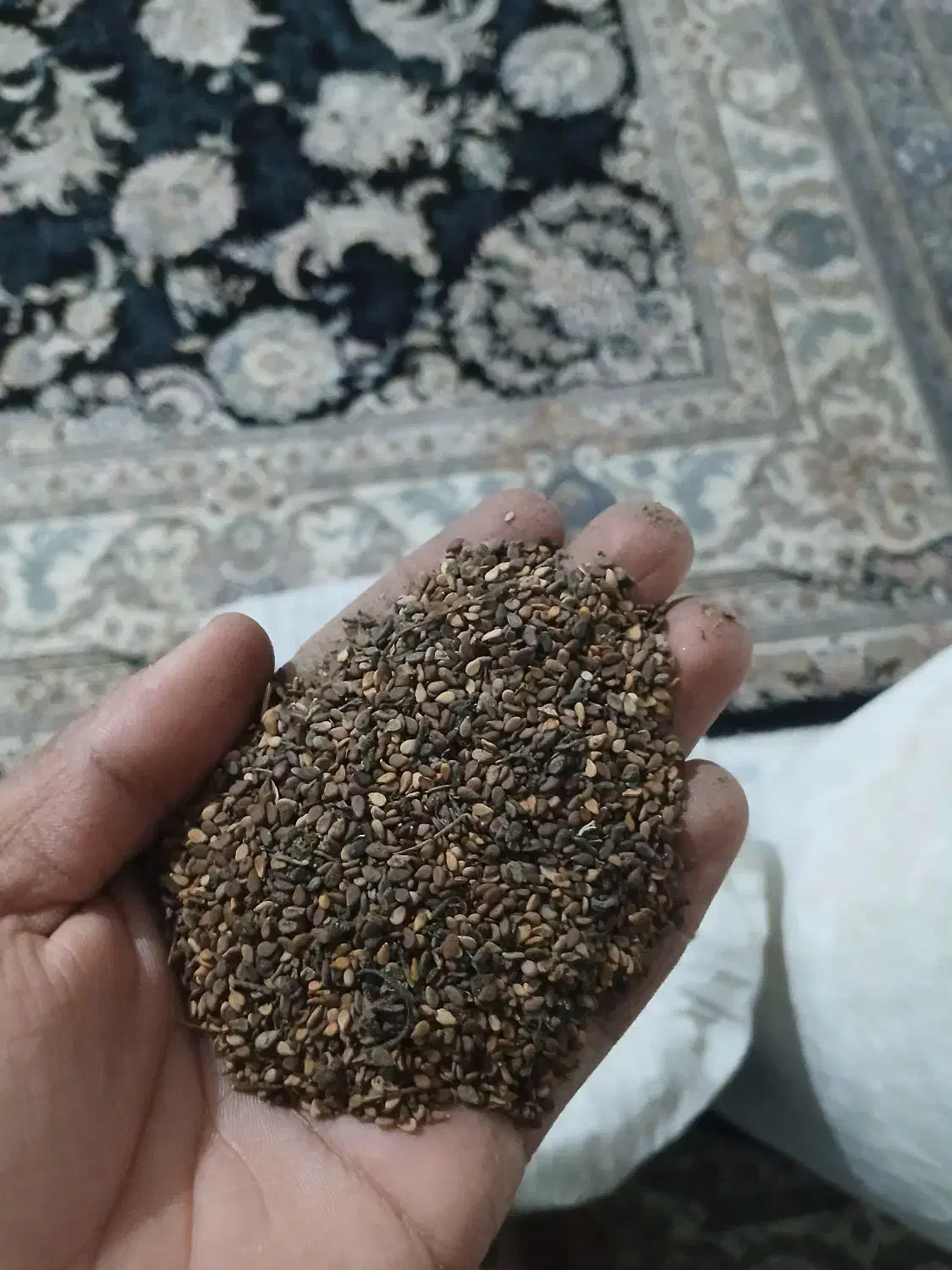 کنجد|عمده‌فروشی|کهنوج, |دیوار