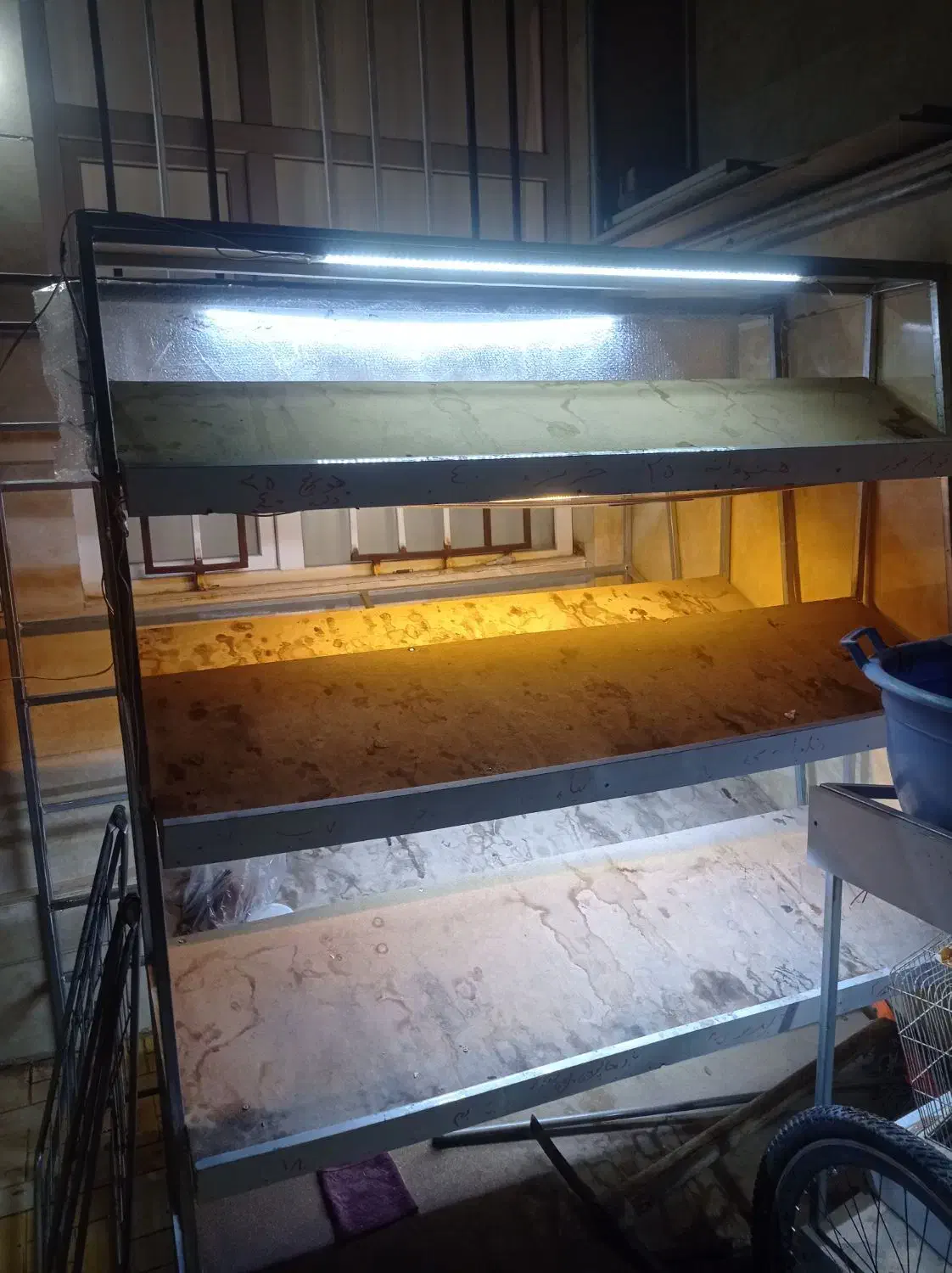 کلیه لوازم میوه فروشی|فروشگاه و مغازه|تربتحیدریه, آغوی|دیوار