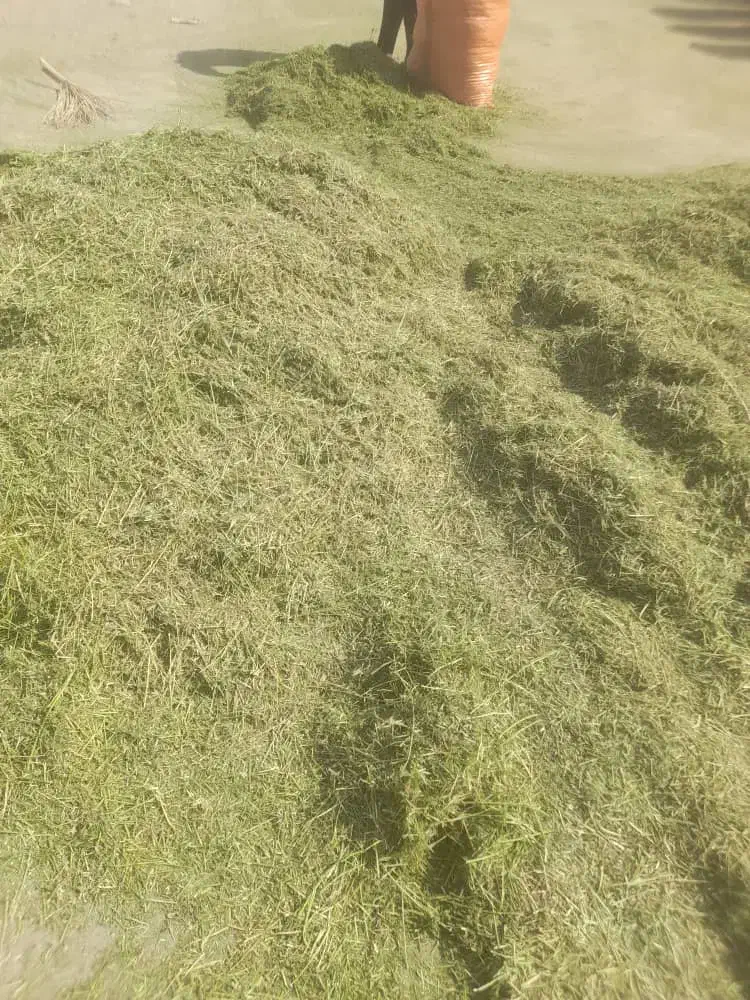 یونجه|عمدهفروشی|برازجان, |دیوار