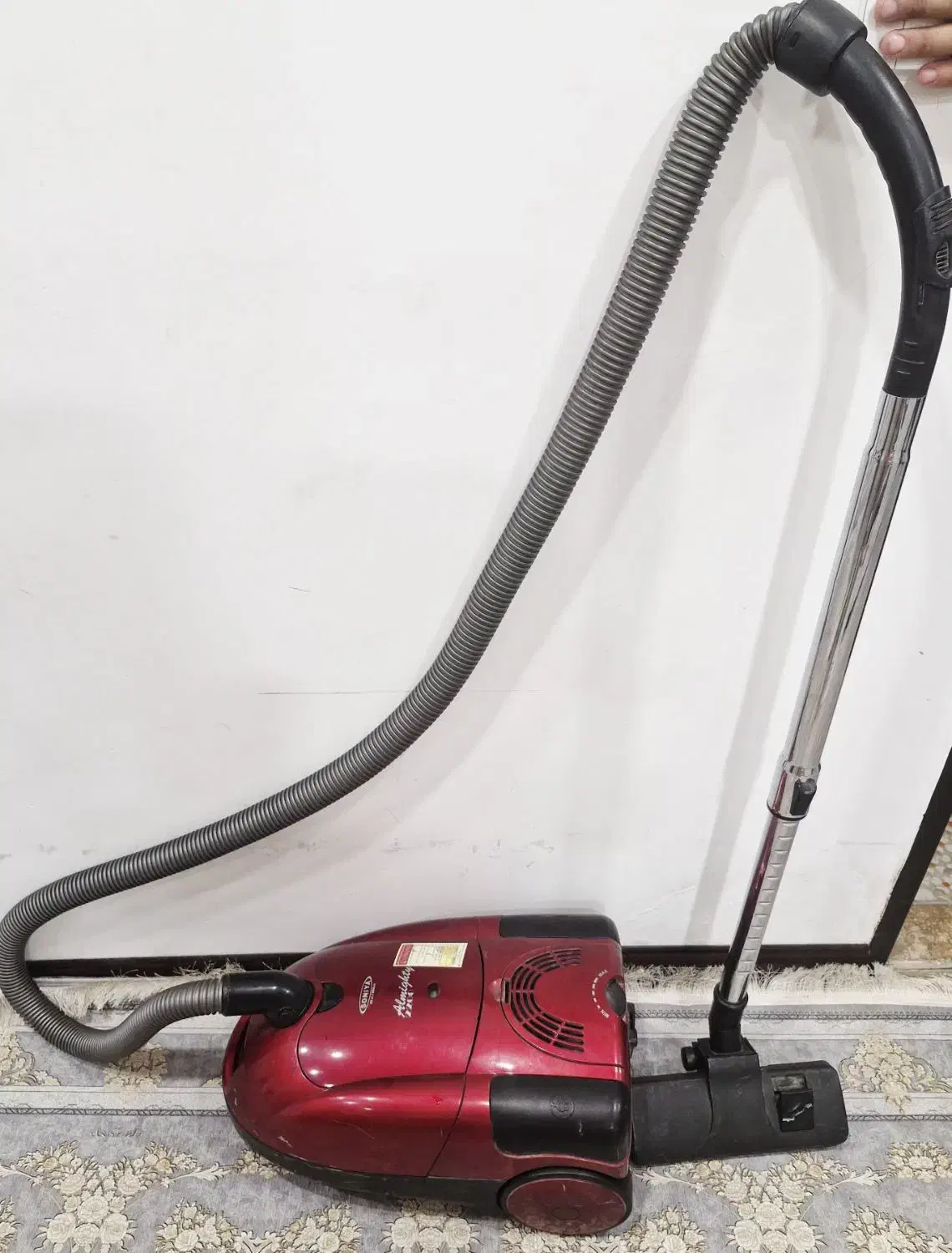 جاروبرقی|جاروبرقی، جارو شارژی، بخارشو|شیراز, باغ تخت|دیوار