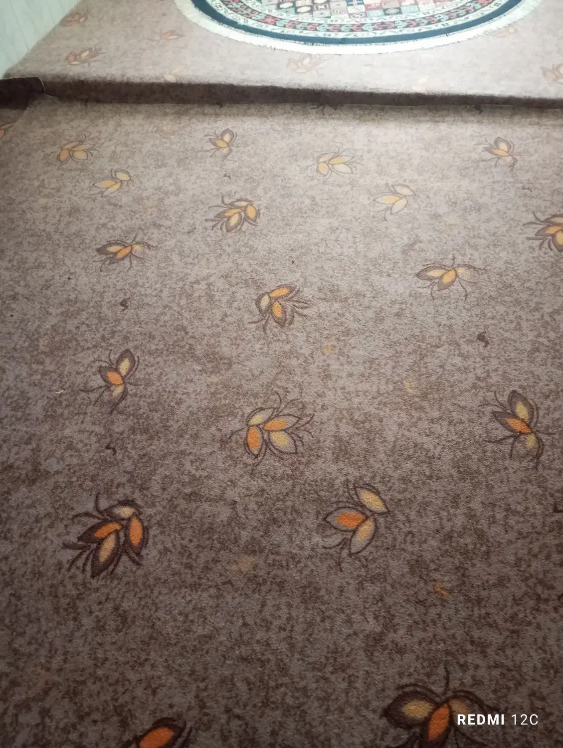 موکت|موکت|علیآباد کتول, |دیوار