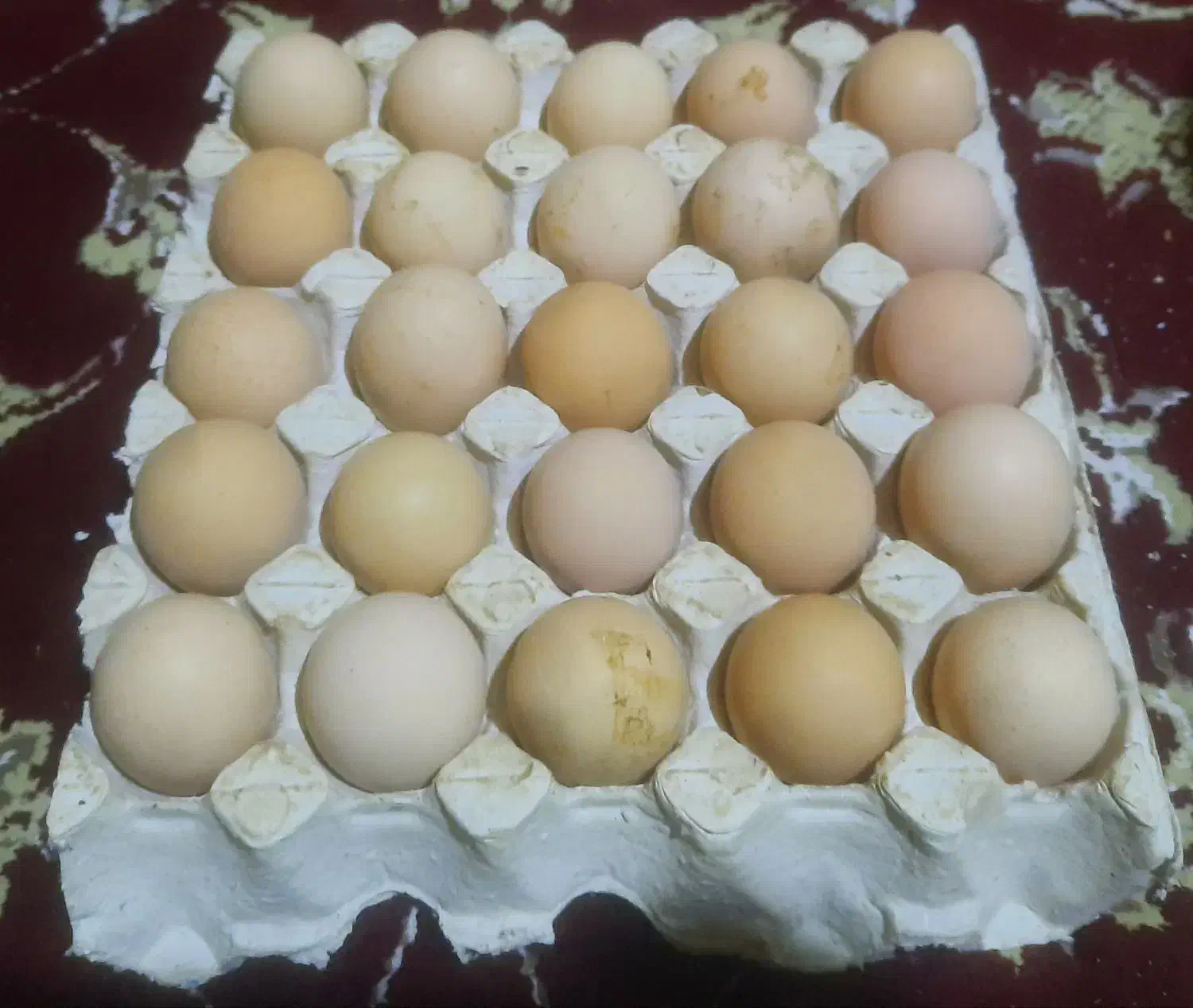 تخم مرغ محلی|خوردنی و آشامیدنی|رشت, استادسرا|دیوار