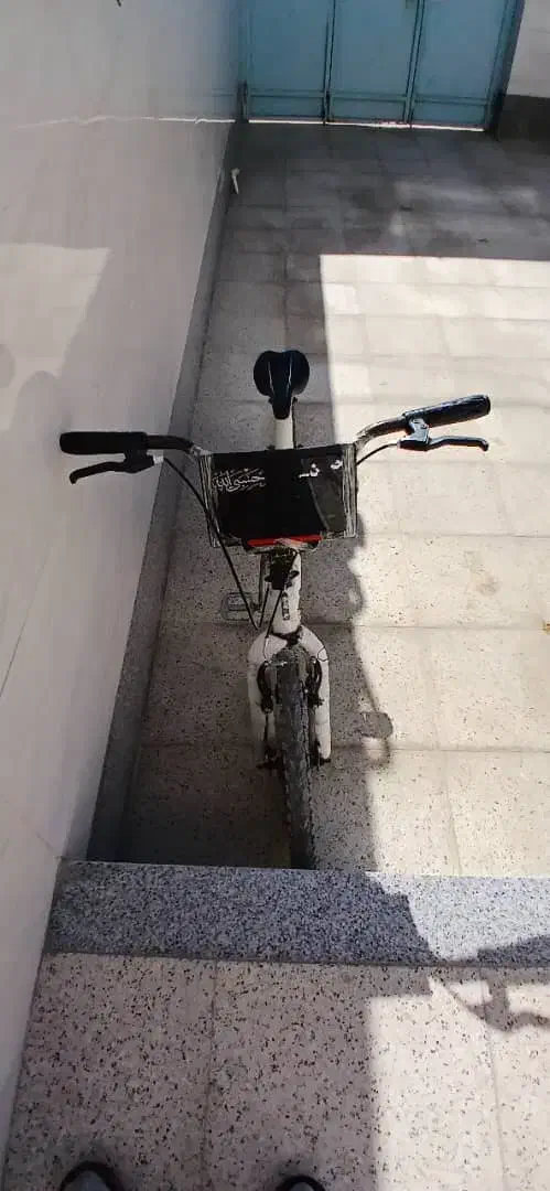 فروشی|دوچرخه، اسکیت، اسکوتر|مرودشت, کوشک|دیوار