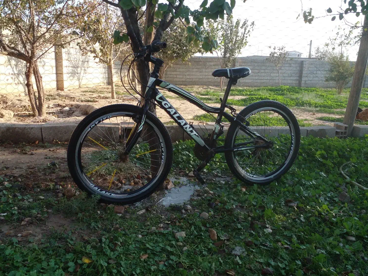 دوچرخه سایز ۲۴ برند گالانت|دوچرخه، اسکیت، اسکوتر|گنبد کاووس, |دیوار