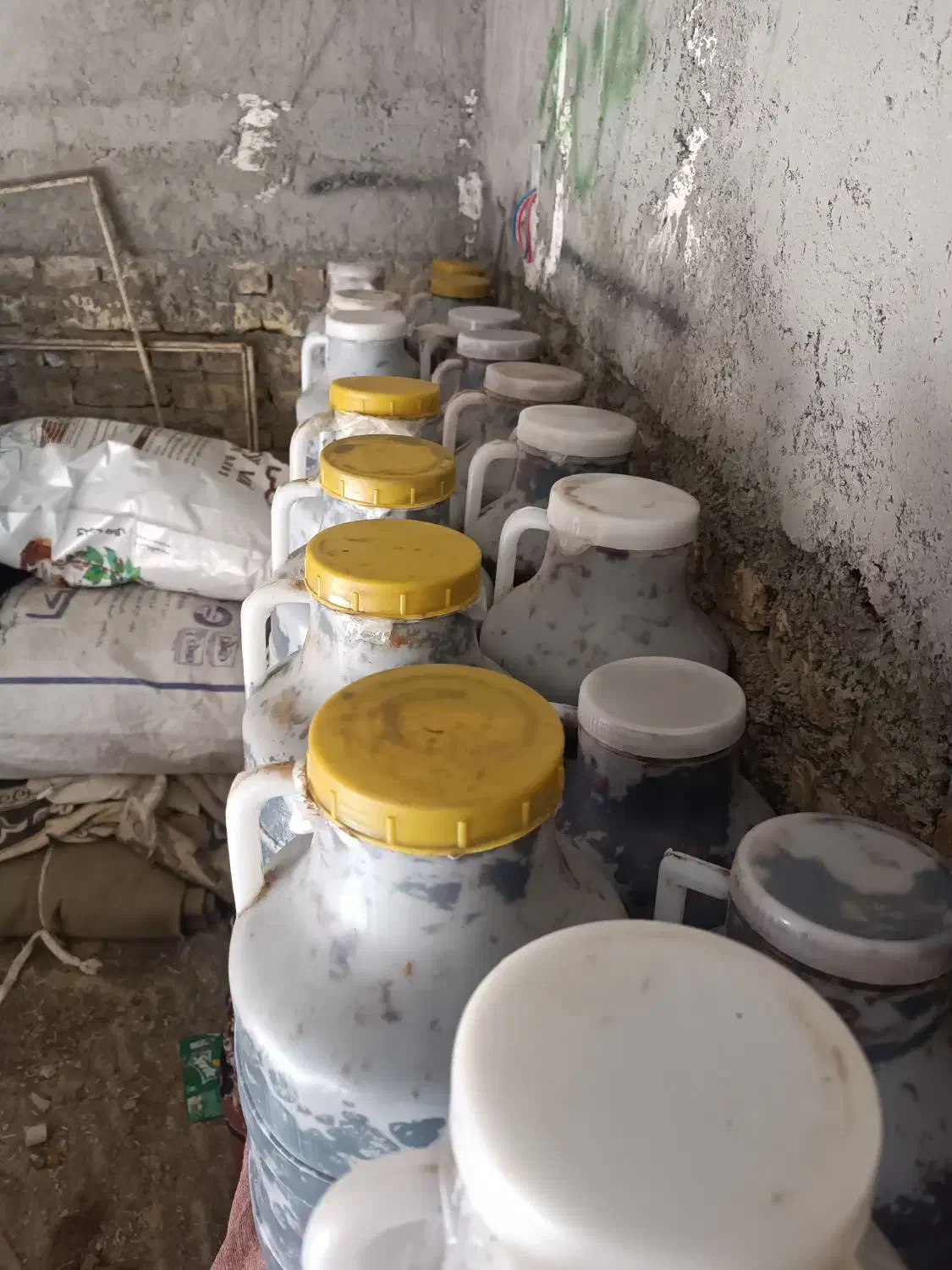 حرما گالن جاهین|عمدهفروشی|سراوان, |دیوار