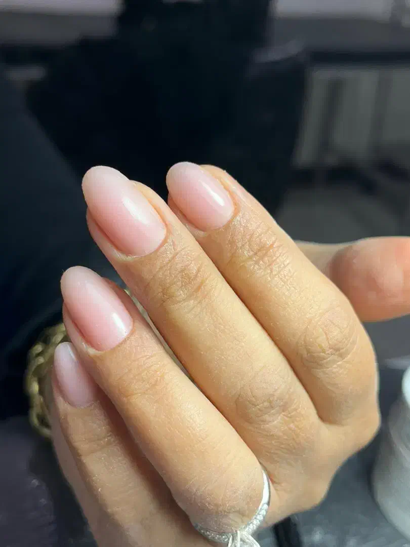 ژلیش ولمینت ناخن ،اصلاح و وکس صورت و ابرو|خدمات آرایشگری و زیبایی|شاهین‌شهر, فردوسی|دیوار