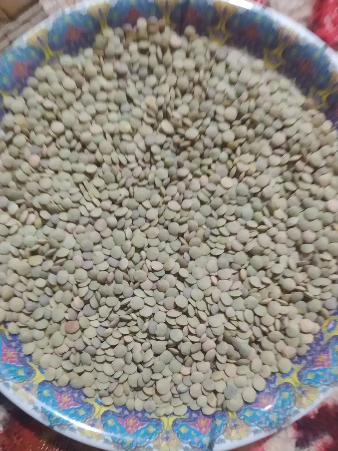 عدس1404|خوردنی و آشامیدنی|خواجه, |دیوار