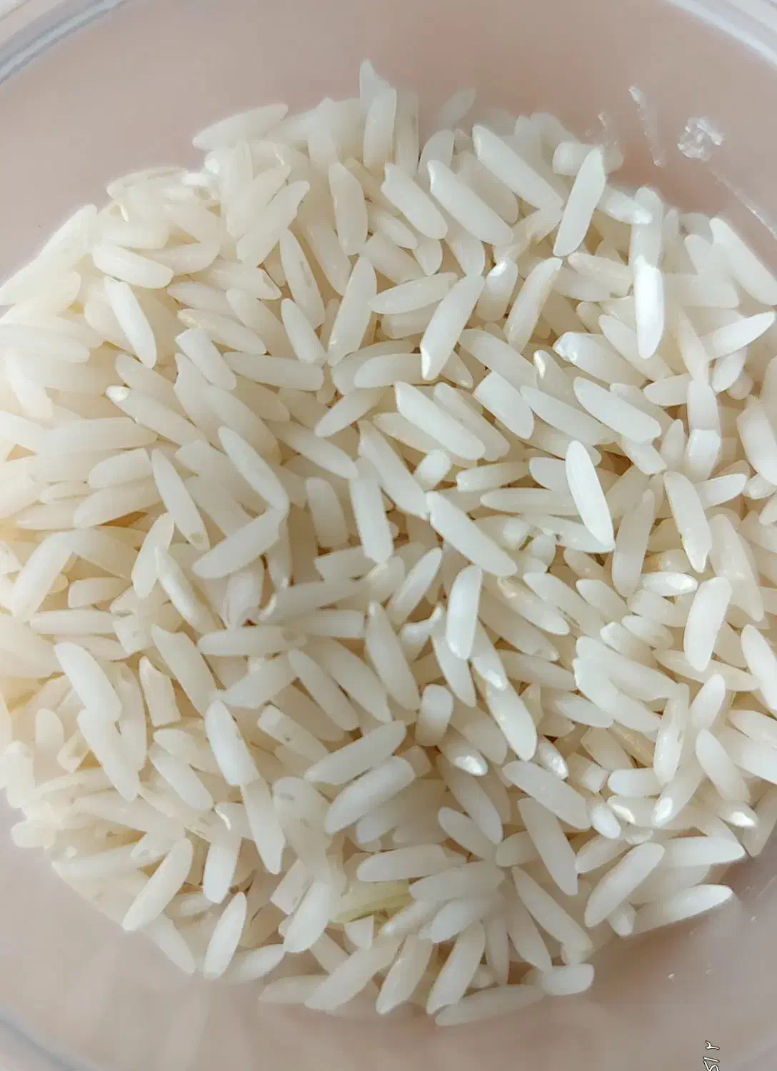 برنج هاشمی معطر درجه یک از  آستانه  اشرفیه|خوردنی و آشامیدنی|پردیس, فاز ۲|دیوار