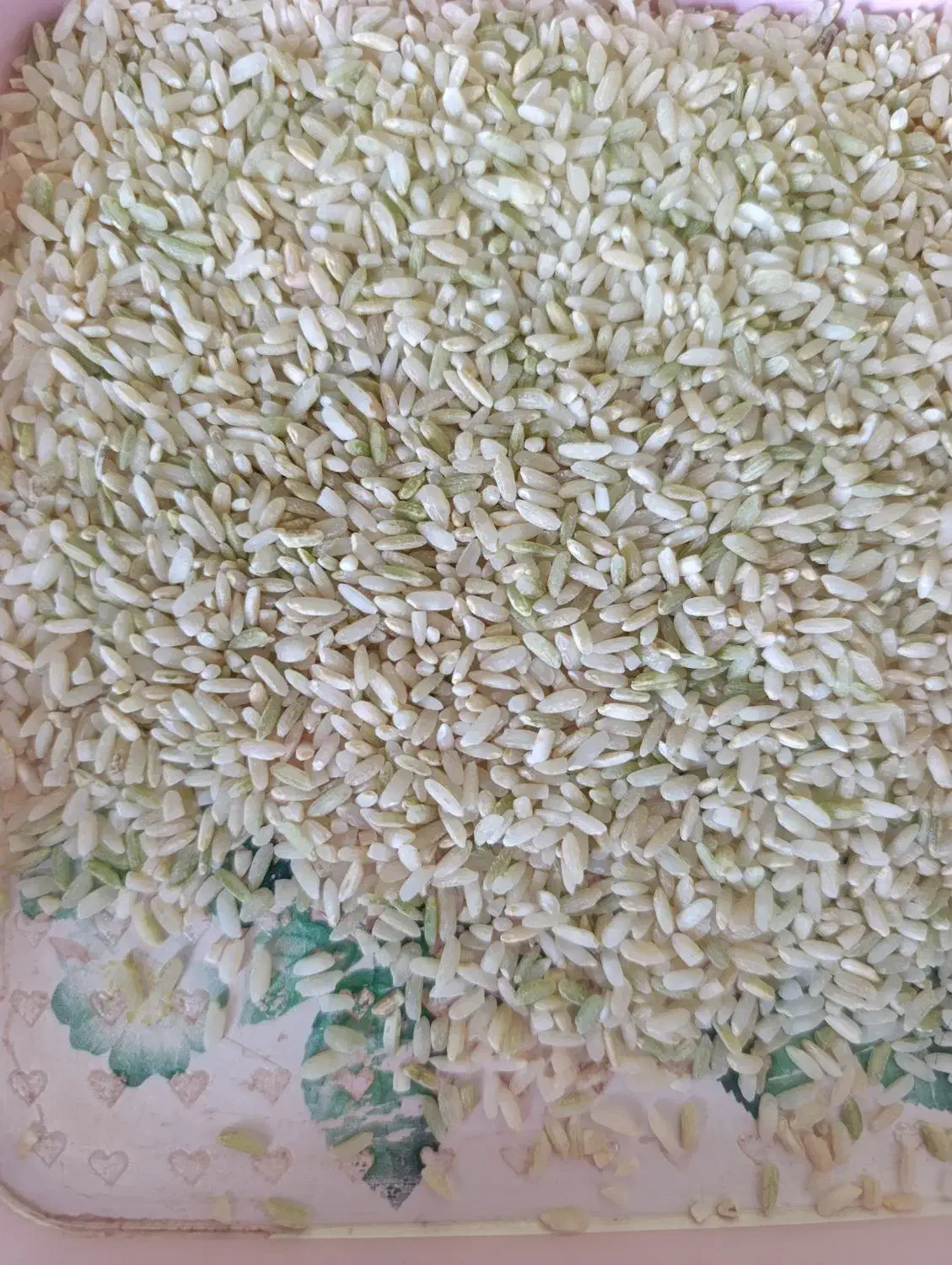 برنج چمپا فلارد|خوردنی و آشامیدنی|فلارد, |دیوار