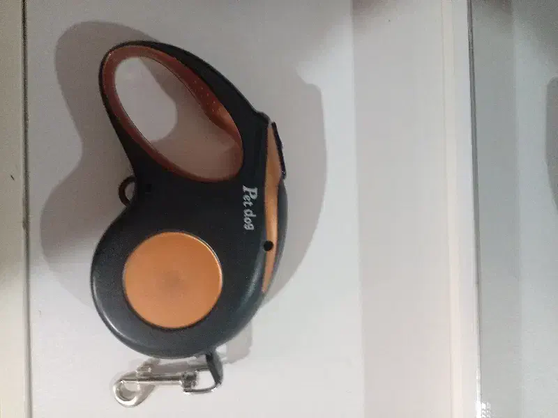 بندقلاده|لوازم جانبی حیوانات|سبزوار, قلعه‌نو دهزار|دیوار