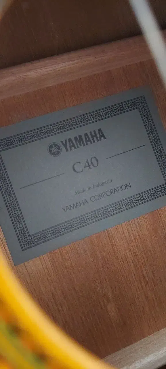 گیتار|گیتار، بیس، امپلیفایر|سهند, |دیوار