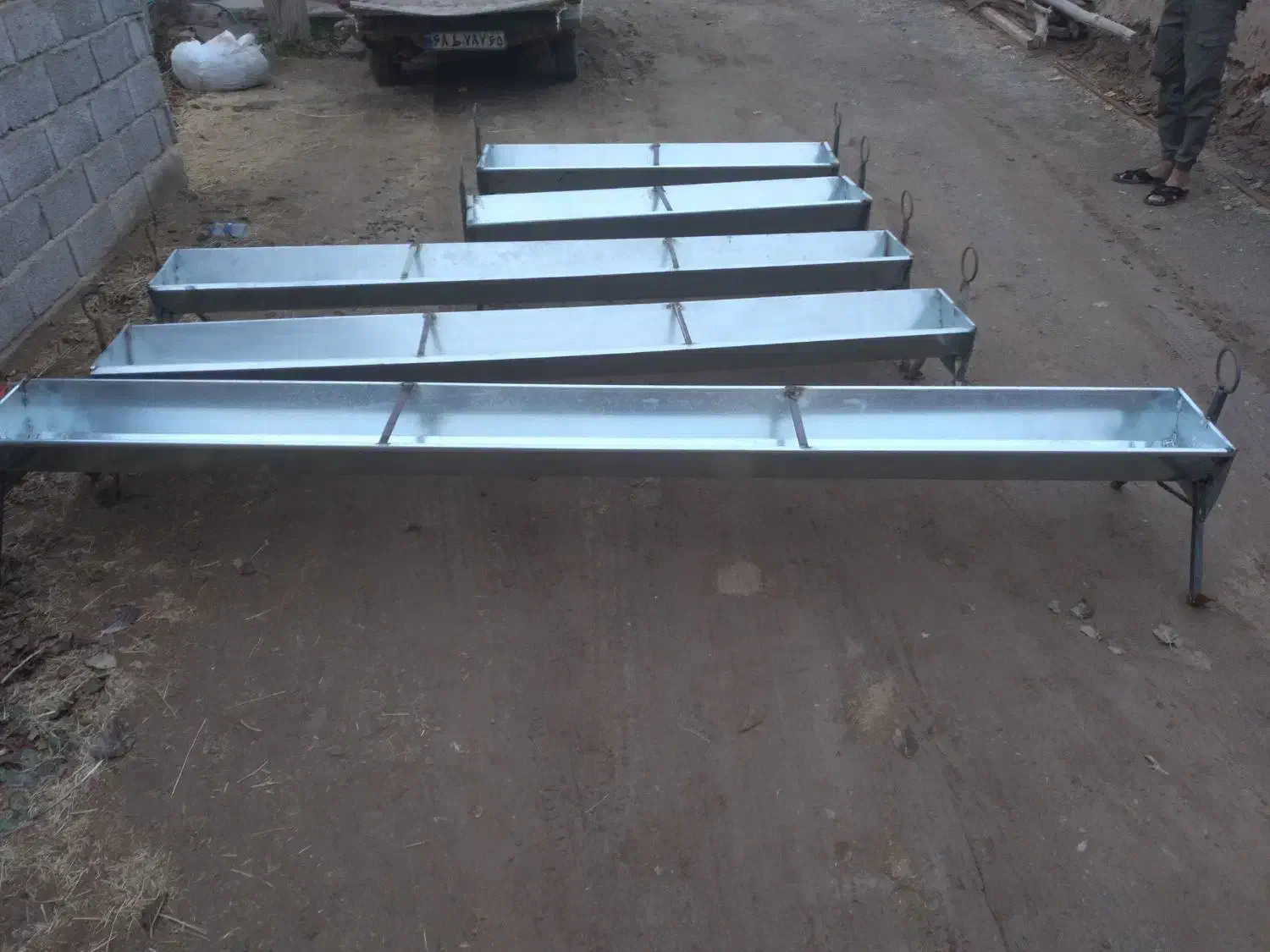 بره|حیوانات مزرعه|یزدان شهر, |دیوار