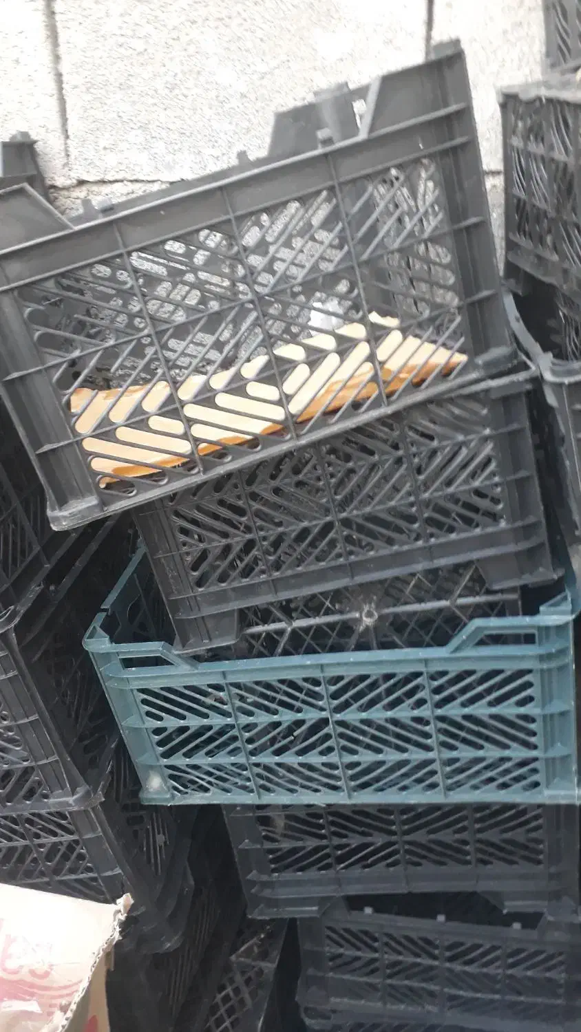 سبد جا گوجه ای|ظروف نگهدارنده، پلاستیکی، یکبارمصرف|سوق, |دیوار