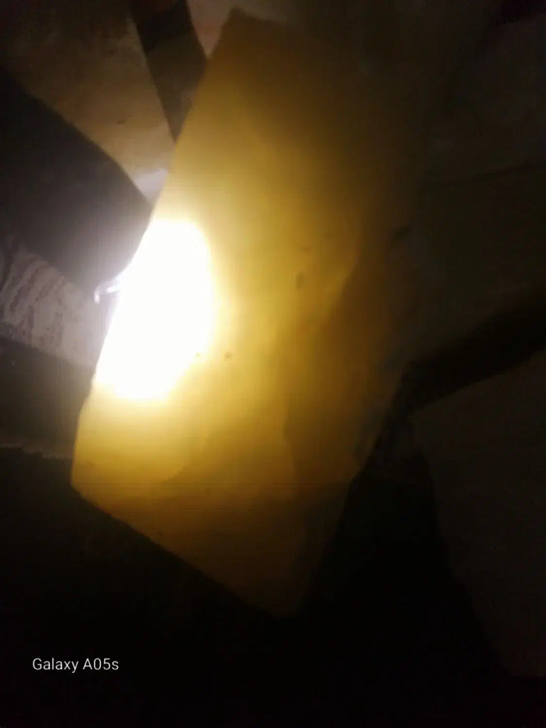 شاه مقصود راف70کیلودرجه یک بدون پرتی فوری زیرقیمت|کلکسیون و سرگرمی|تهران, دستغیب|دیوار