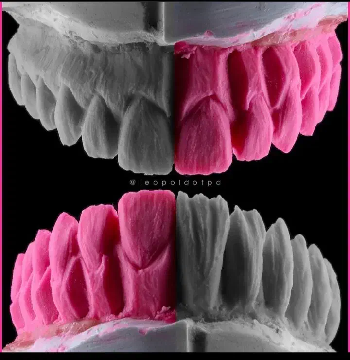 همکار خانوم برای لابراتوار دندانسازی|استخدام درمانی، زیبایی، بهداشتی|رشت, کوی امام رضا|دیوار