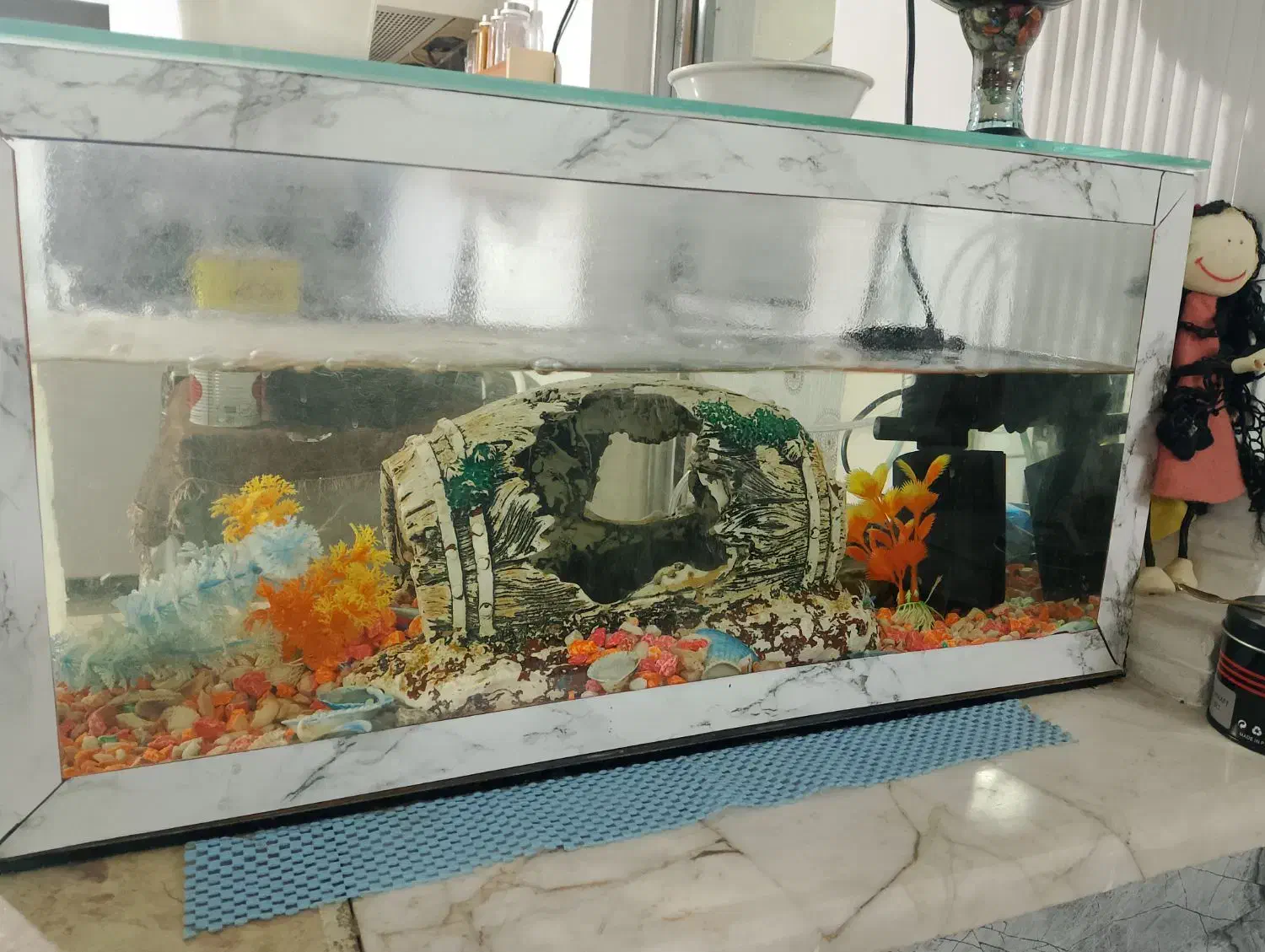 آکواریوم|ماهی|مشهد, شهرک رازی (شهرک غرب)|دیوار