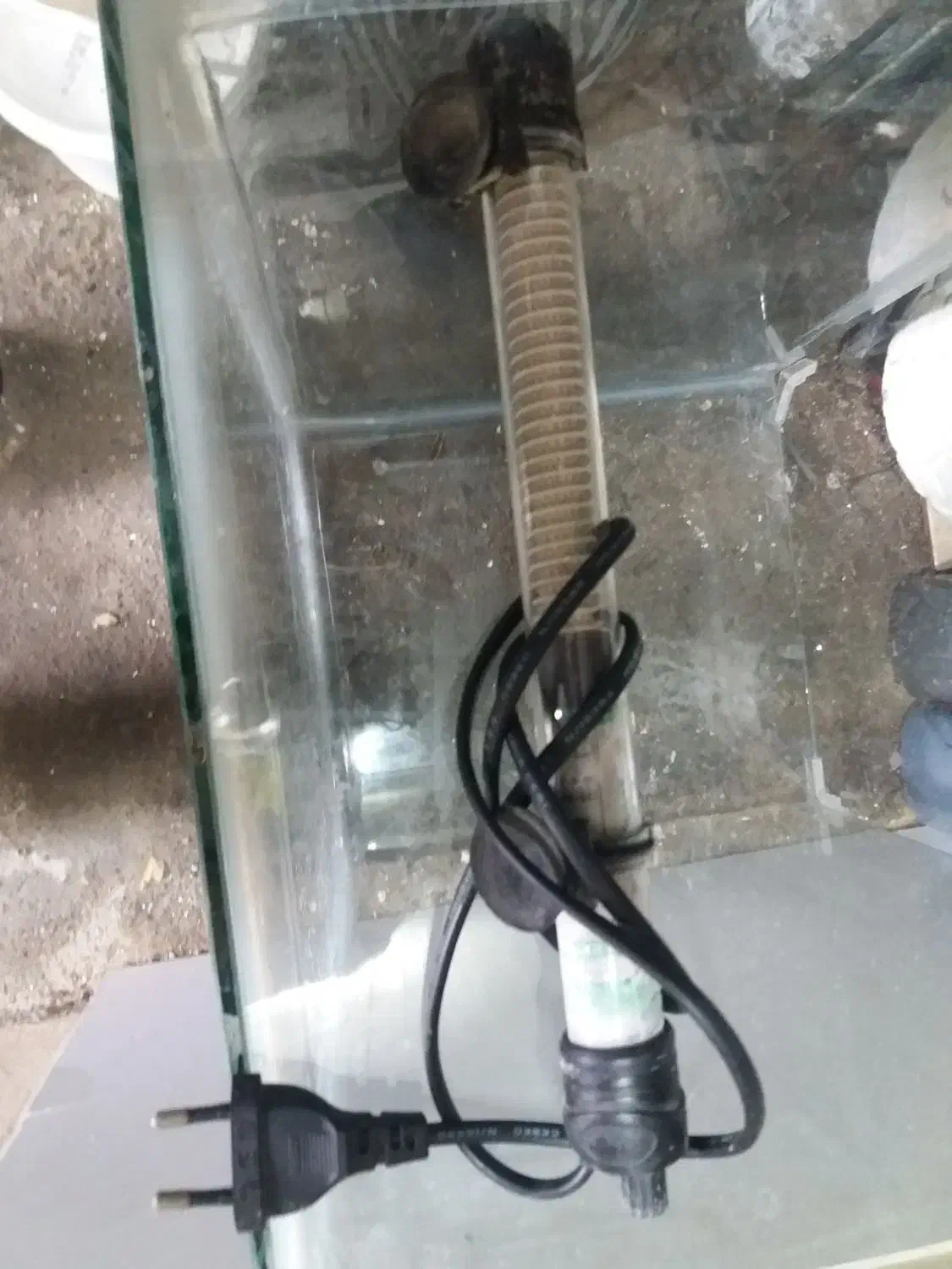 اکواریم شرکتی ضخیم|ماهی|سلمان‌شهر, |دیوار