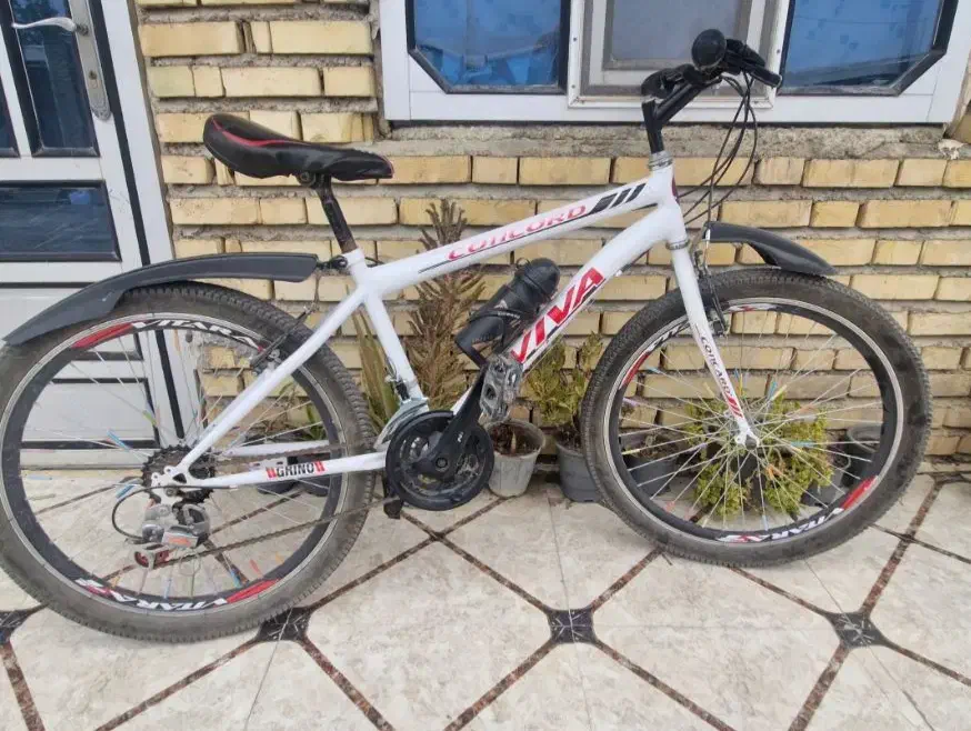 دوچرخه ویوا|دوچرخه، اسکیت، اسکوتر|گنبد کاووس, |دیوار