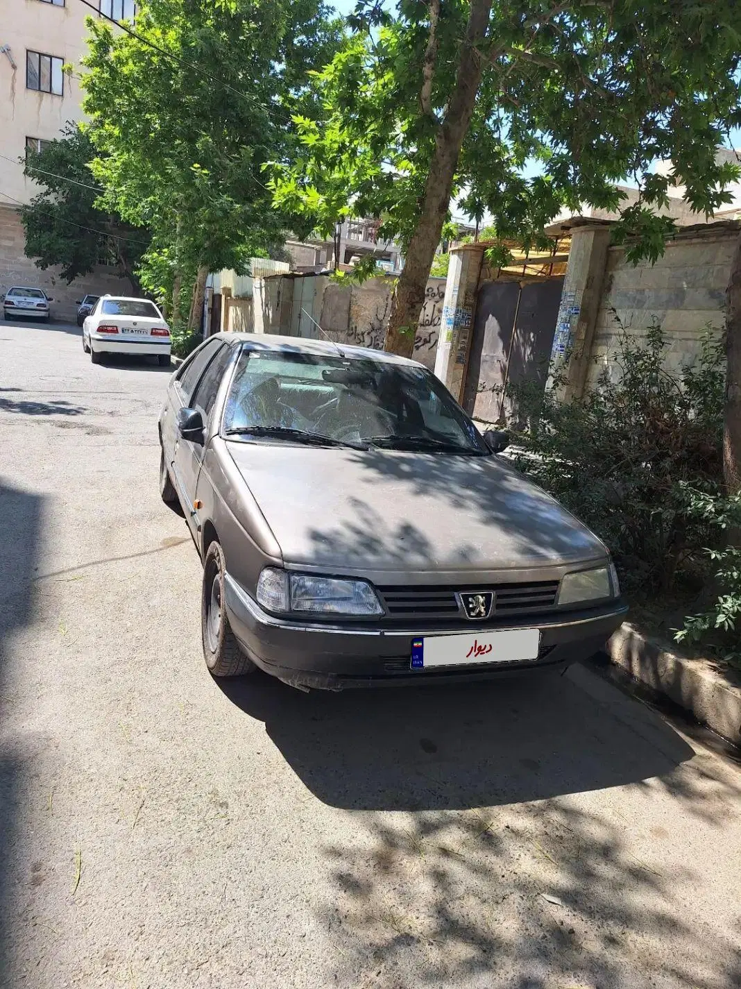 ۴۰۵|خودرو سواری و وانت|دالخانی, |دیوار