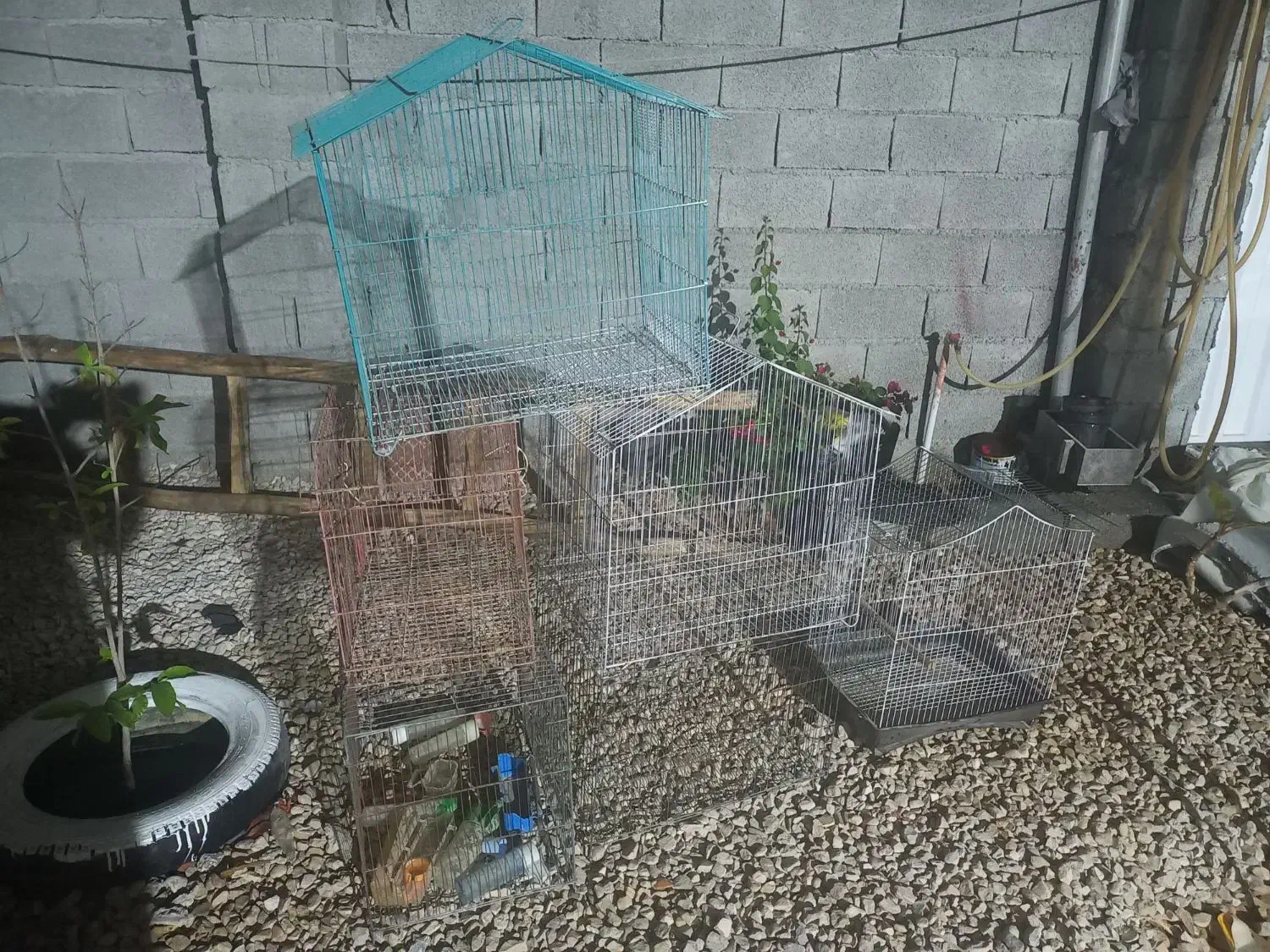 فروش قفس|لوازم جانبی حیوانات|اهرم, |دیوار