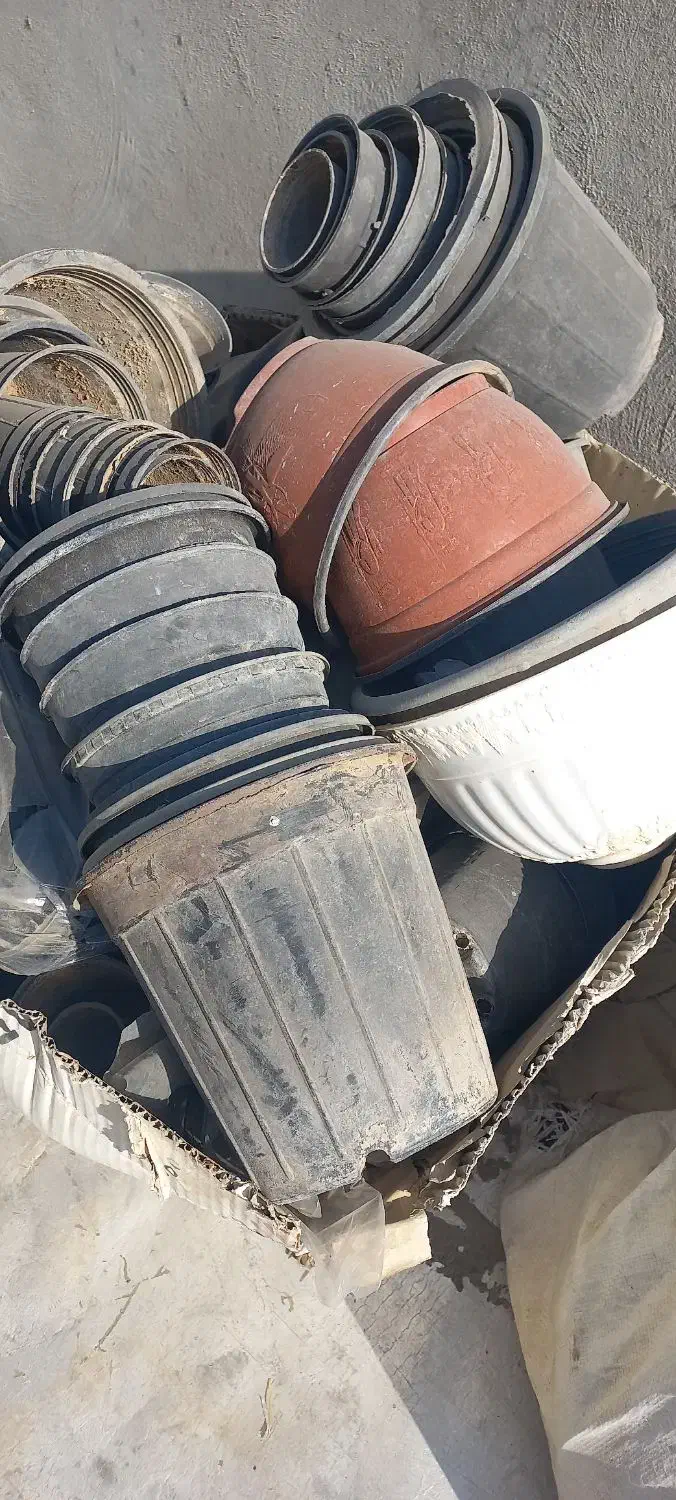 گلدان پلاستیکی|گل و گیاه طبیعی|فولادشهر, C3|دیوار