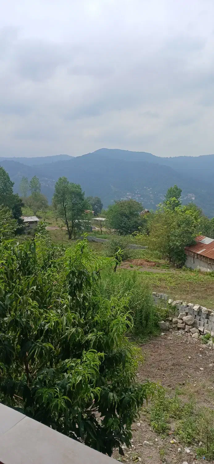 اجاره ویلا شب و روز|اجارهٔ خانه و ویلا|آلاشت, |دیوار