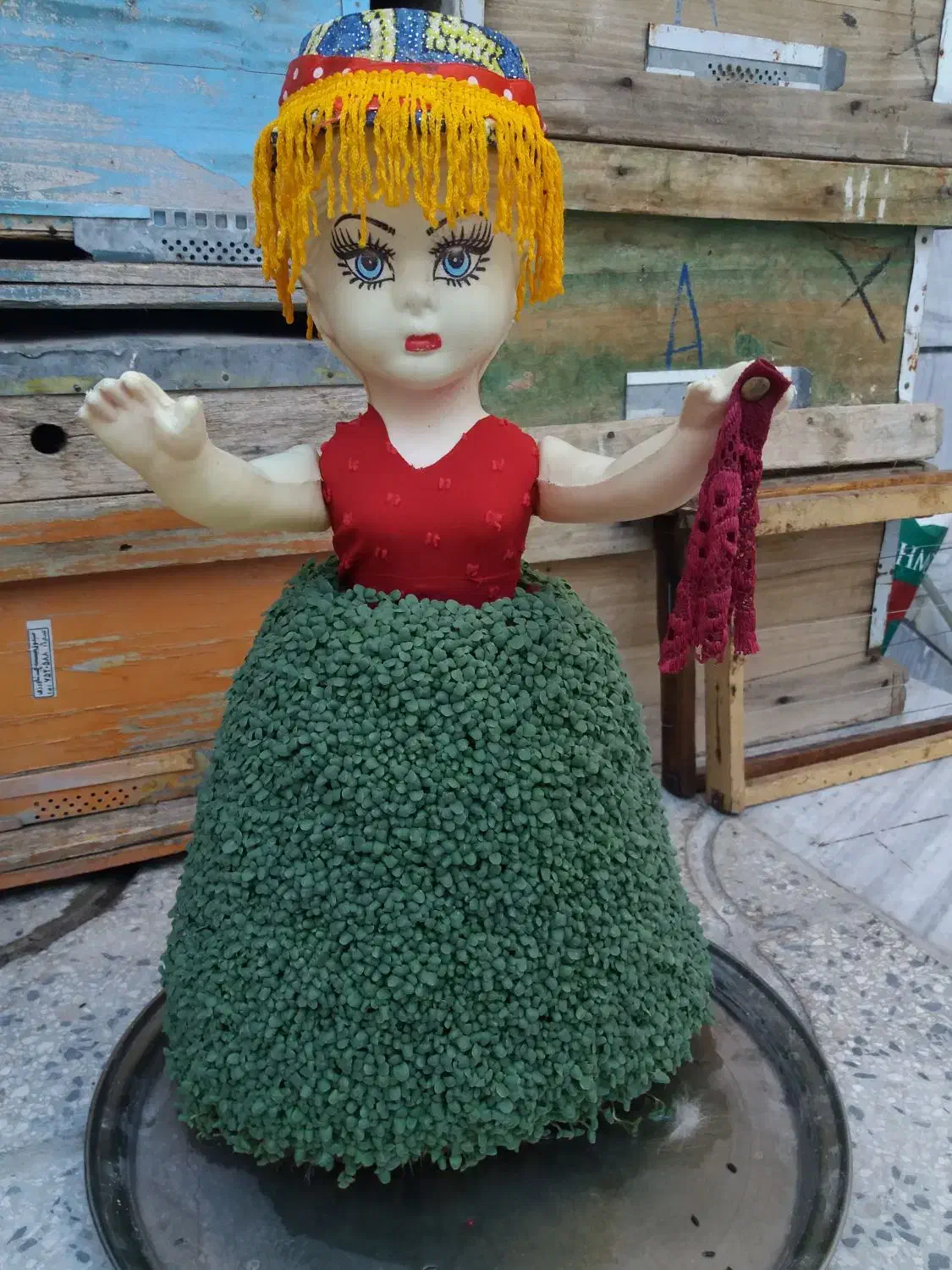 سبزه|گل و گیاه طبیعی|بروجرد, |دیوار