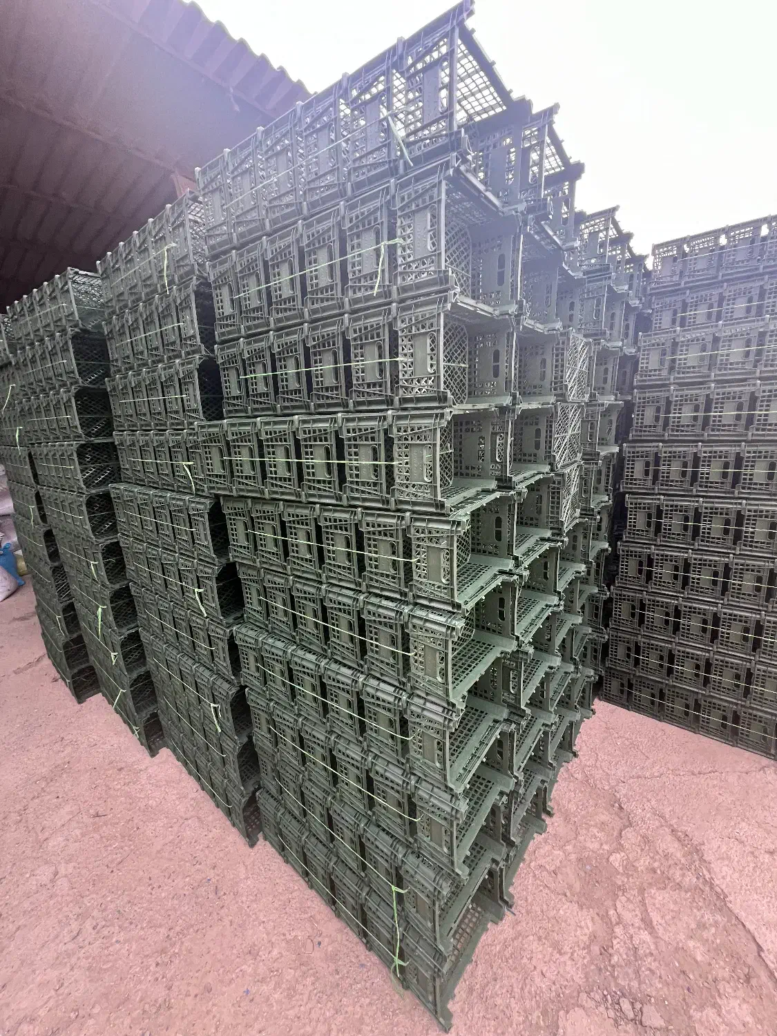 مجموعه سبدمیوه خدابندلو|ظروف نگهدارنده، پلاستیکی، یک‌بارمصرف|هشتگرد, تهران دشت|دیوار