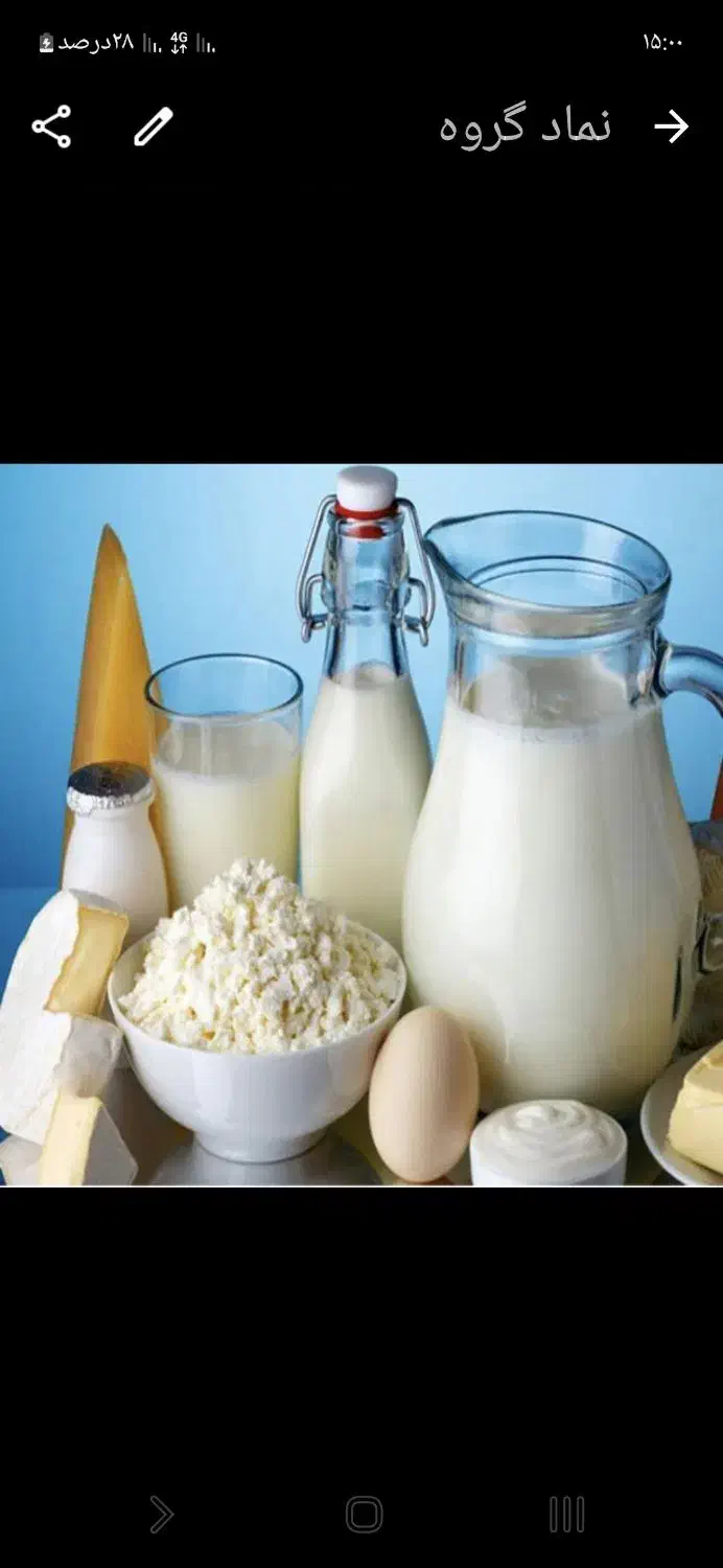 راننده جهت همکاری|استخدام حمل و نقل|یزد, |دیوار