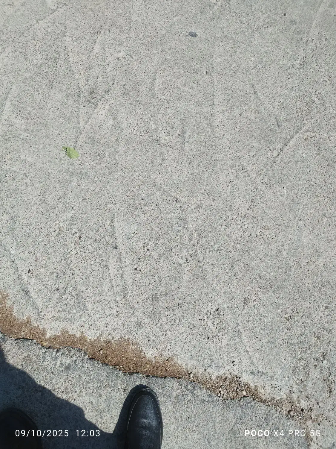 زمین|فروش زمین و ملک کلنگی|شیراز, کودیان|دیوار