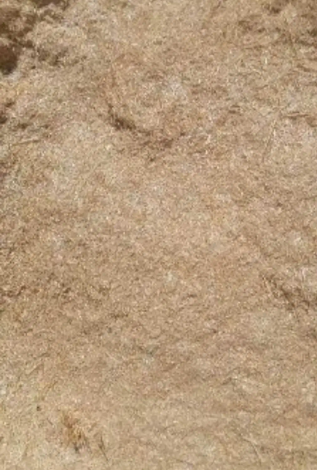 کاه گندم دیم|حراج|همدان, |دیوار