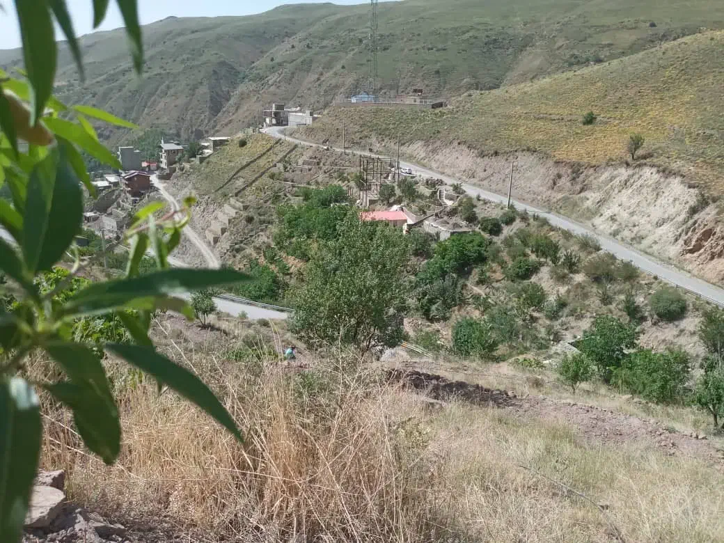 فروش زمین|فروش زمین و ملک کلنگی|آبعلی, |دیوار