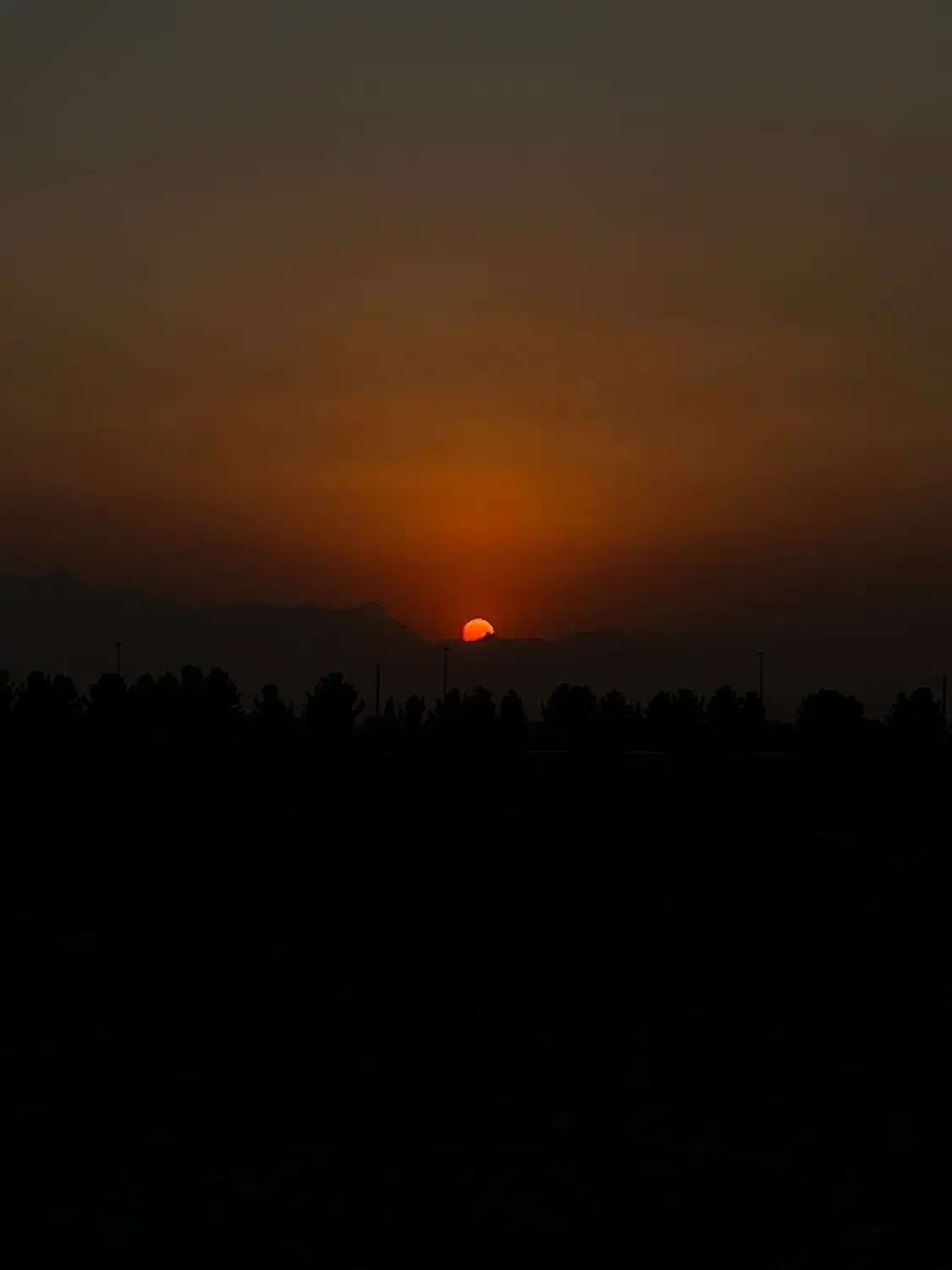 واحد آپارتمان خدماتی ۷۵متر (دهخدا)|اجارهٔ دفتر کار، اتاق اداری، مطب|شاهینشهر, مخابرات (شهید بهشتی)|دیوار